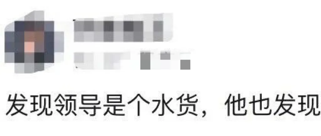 那些水货领导,总是惊人的相似!