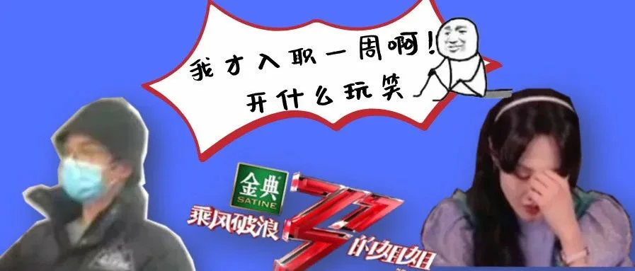 郑爽华晨宇浪姐2...刚入行就遭遇这么多史诗级热点,我该怎么办?