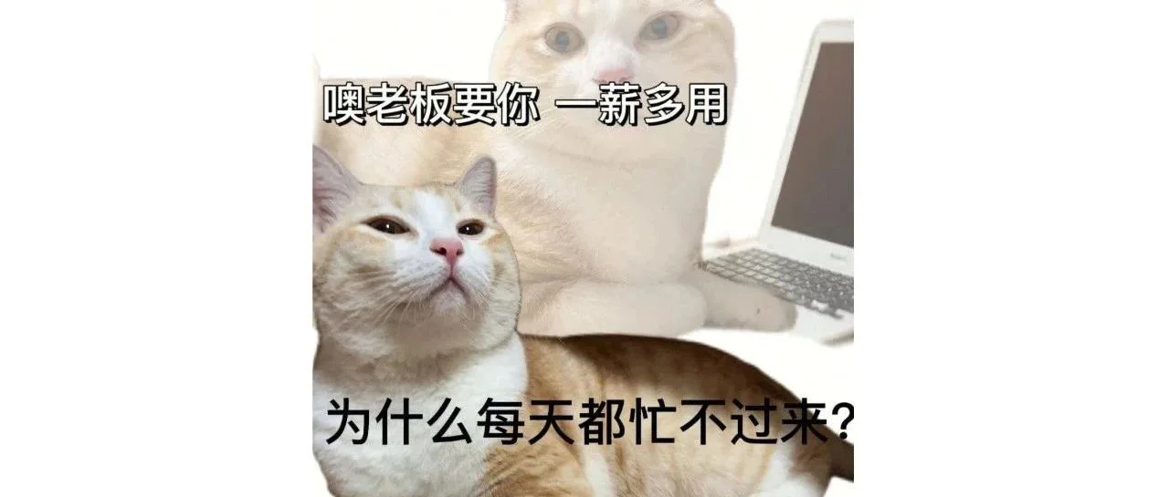 平均年薪20W!这些高薪技能你掌握了几个?丨新媒体人的真实体验