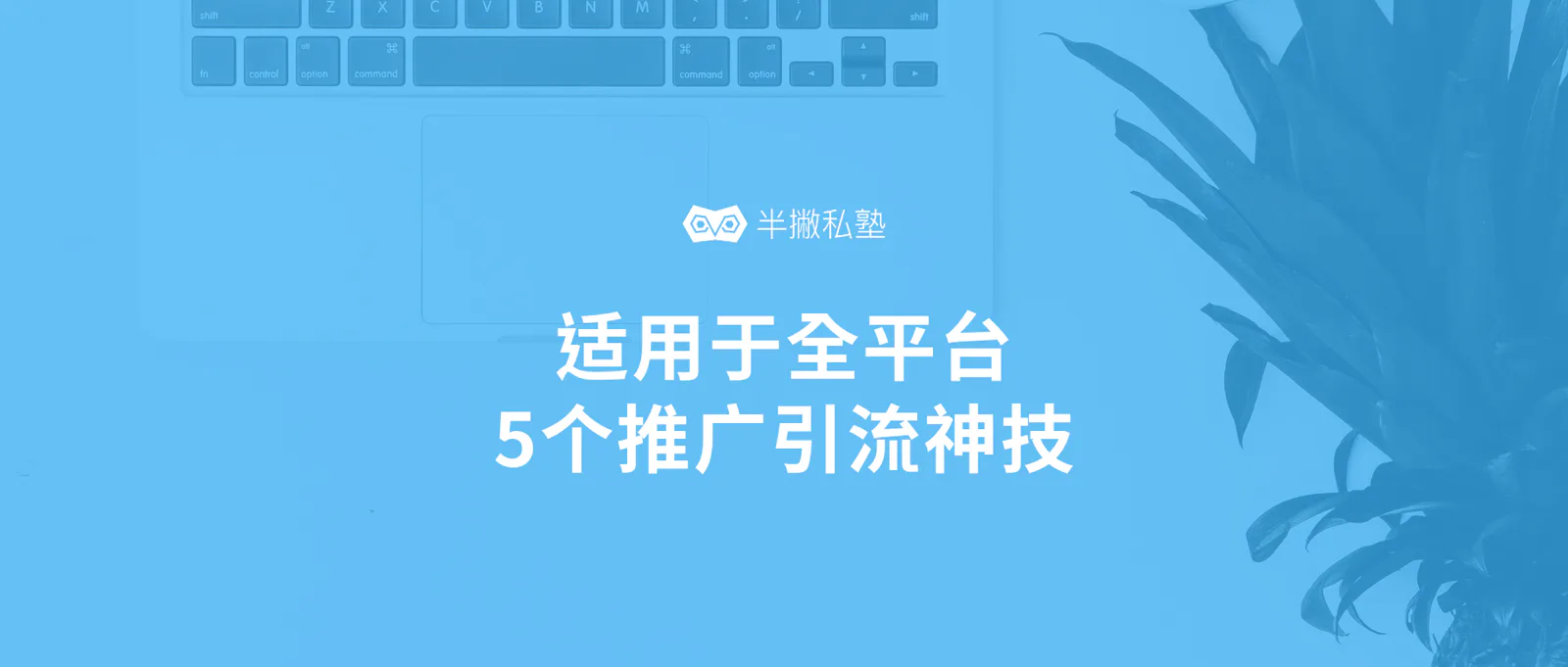 内容营销引流效果差?适用于全平台的5个推广引流神技