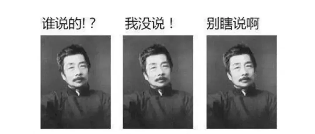 如果鲁迅在双十一付完尾款后,他会说......