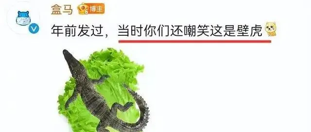 盒马又双叒叕翻车了!这波事件营销你学会了吗?