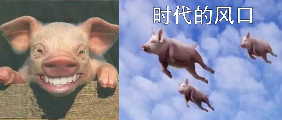 站在时代风口上:开淘宝店已经out了,赚钱还得看这个!