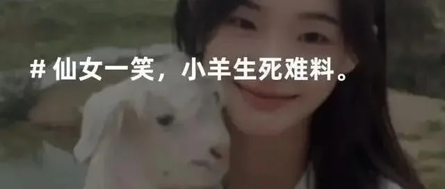 00后牧羊少女走红,两周涨粉700w,从素人到顶流的秘诀是......