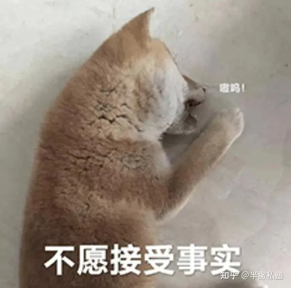 来自新媒体人的忠告:这件事越早做越好!