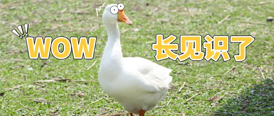 学会“偷懒”你才能升职加薪!