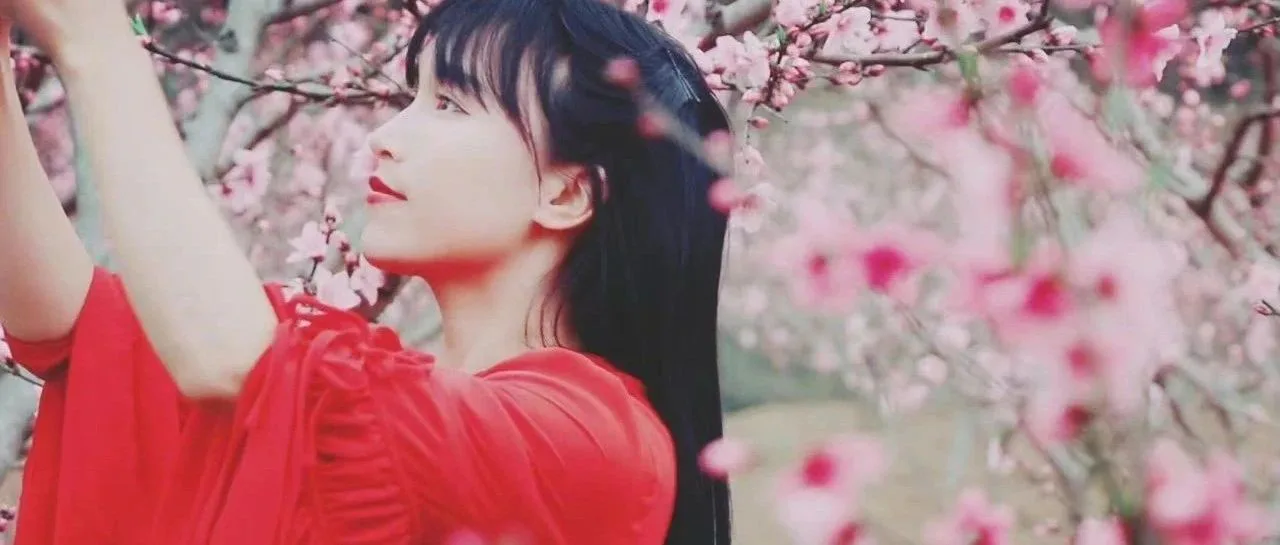 消失了500多天的李子柒终于回归！她还能重回顶流吗？