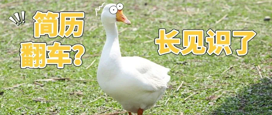 完蛋!简历整容过度被发现,该怎么办?