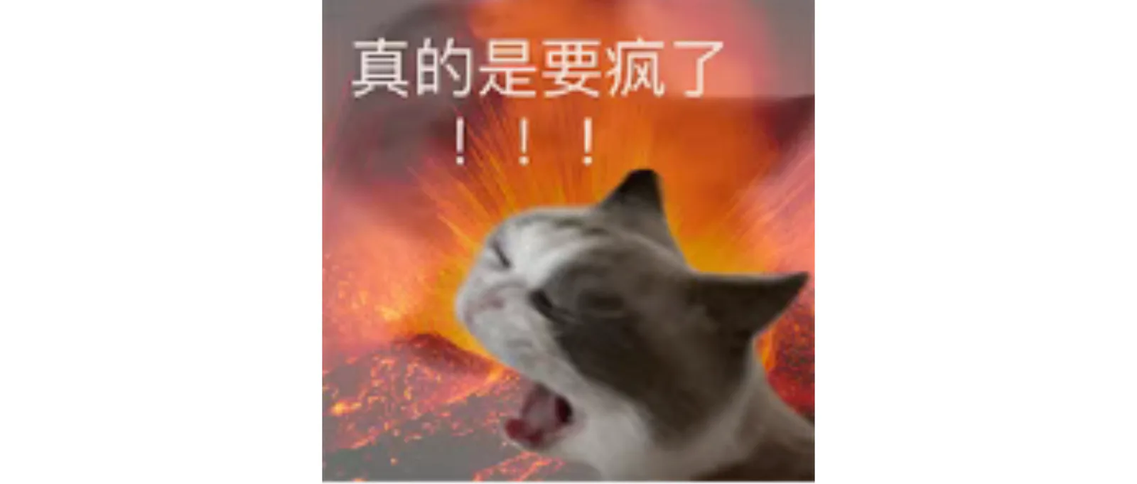 大润发文案，把调休的我看哭了！