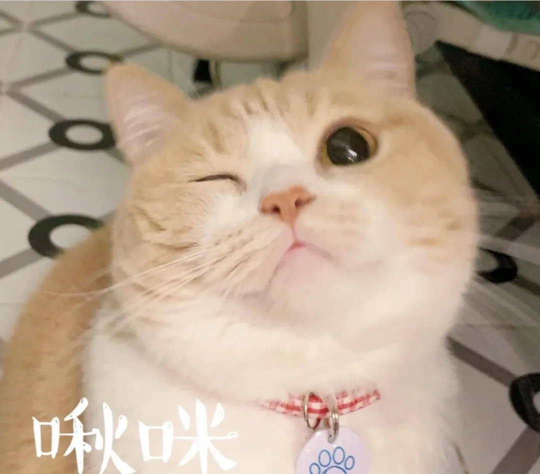 从服装设计师到第一个8K+的offer，转行远非你想的那么简单。