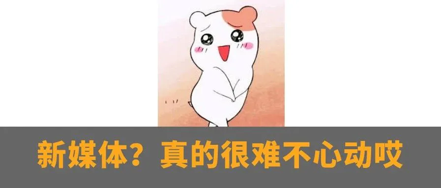2020年过半了,新媒体还值得上车吗?