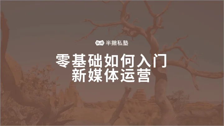 零基础如何入门新媒体运营
