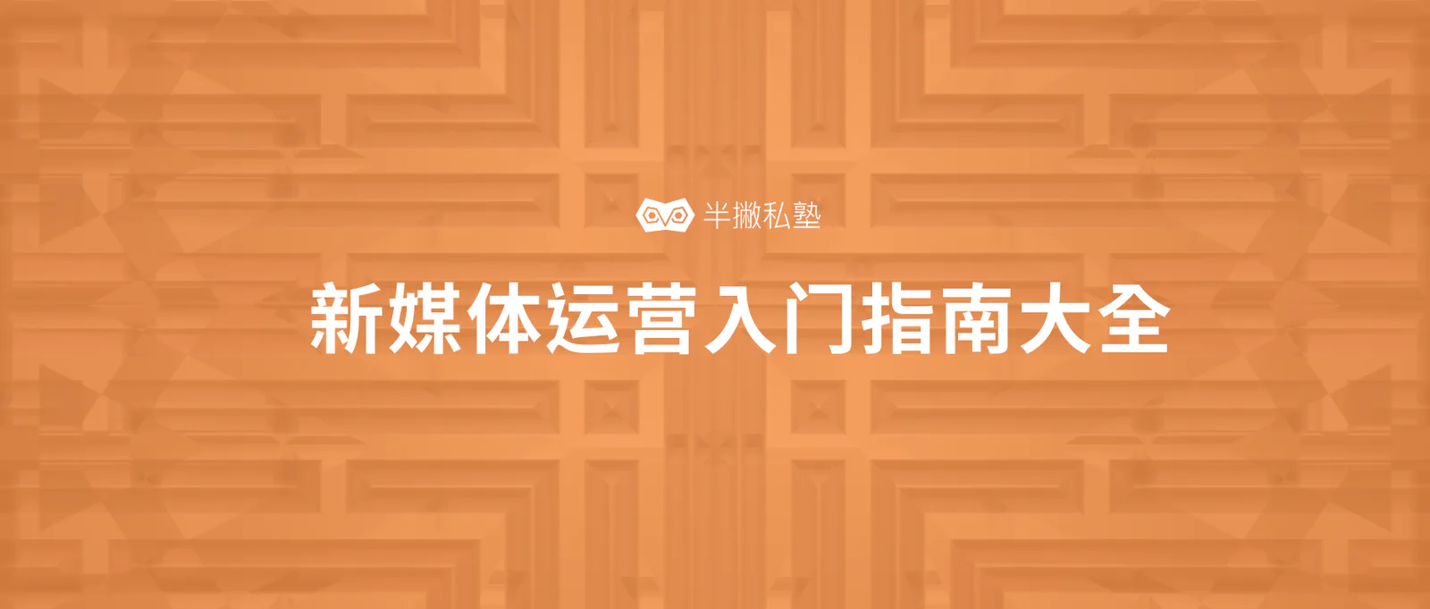 新媒体运营入门指南,小白必备