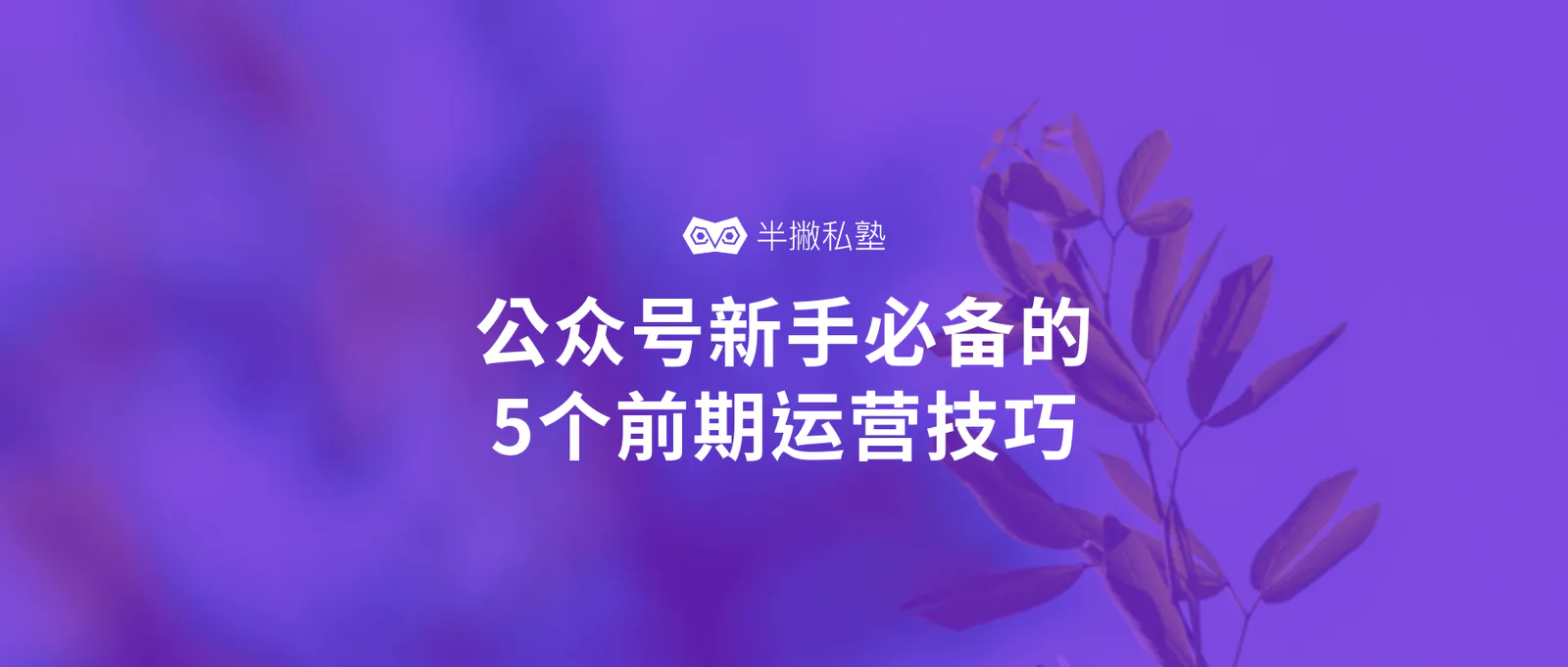 公众号注册完怎么使用:公众号新手必备的5个前期运营技巧